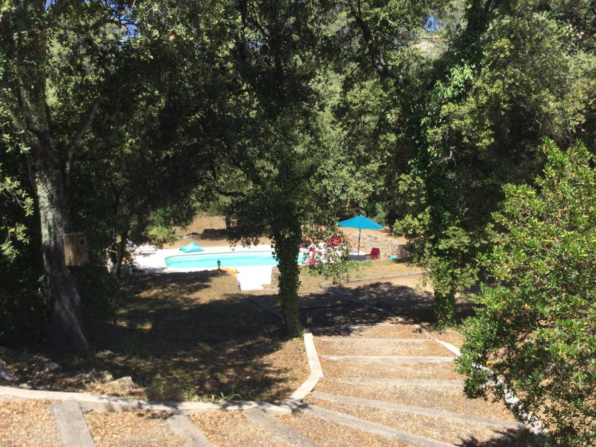 Villa Bleucassis Taradeau Εξωτερικό φωτογραφία